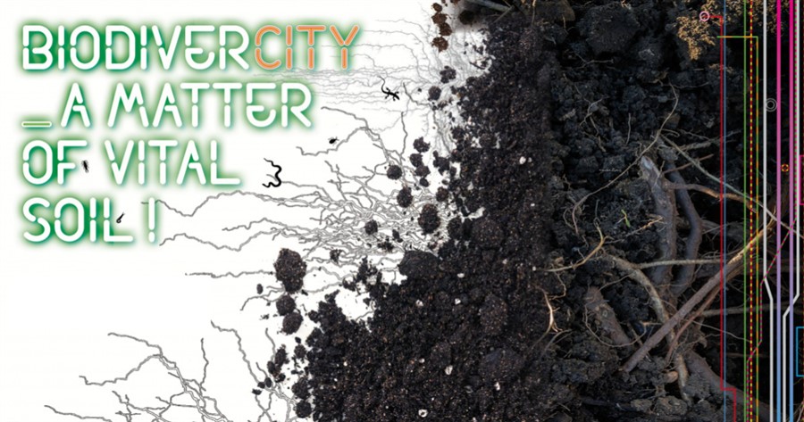 Bericht BiodiverCITY. A matter of vital soil! bekijken